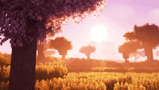 Minecraft gif